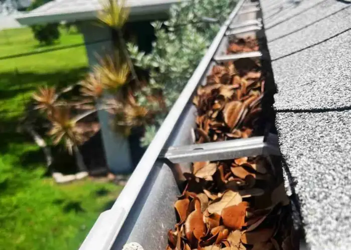 Denver gutter cleaning home page